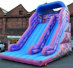 inflatable Dry Slide の Faires のスライドの紫色の巨大な弾力があるスライド 30ft の王女